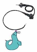 Endoscope parte, riparazione di endoscopia, noi vende le parti flessibili di Endoscope!  Siamo dedicati a fornire le parti di ricambio di qualit per Olympus, Pentax e Fujinon Endoscopes flessibile universalmente! 