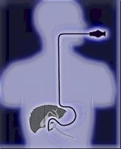 Click here for Duodenoscopes!