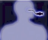 Click here for Rhinolaryngoscopes!